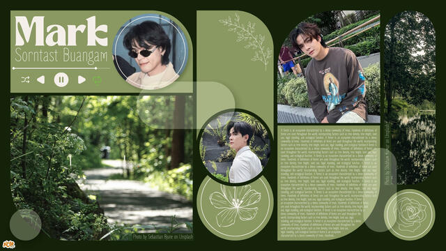 Mark Sorntast Colour Graphic